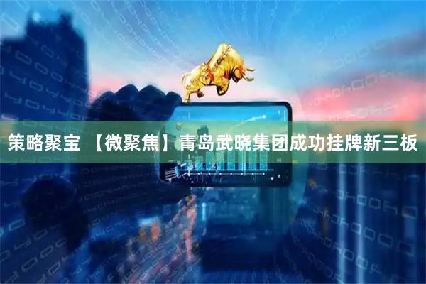 策略聚宝 【微聚焦】青岛武晓集团成功挂牌新三板